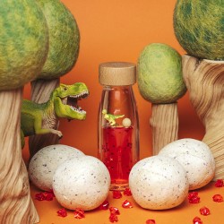 BOUTEILLE SENSORIELLE MOVE T-REX - PETIT BOUM