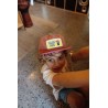 CASQUETTE SPROUT BROWN 2-5 ANS - HELLO HOSSY