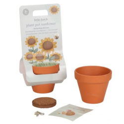 KIT DE PLANTATION TOURNESOL - LITTLE DUTCH