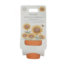 KIT DE PLANTATION TOURNESOL...