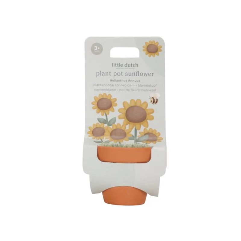 KIT DE PLANTATION TOURNESOL - LITTLE DUTCH