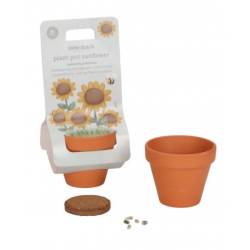 KIT DE PLANTATION TOURNESOL - LITTLE DUTCH