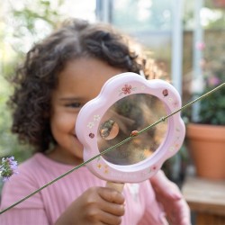 LOUPE BOIS FAIRY GARDEN ROSE - LITTLE DUTCH