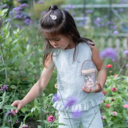 BOITE A INSECTES FAIRY GARDEN ROSE - LITTLE DUTCH
