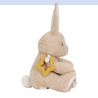 PELUCHE D'ACTIVITES LAPIN NEWBORN - LITTLE DUTCH