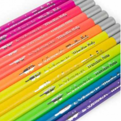 BOITE DE 12 CRAYONS NEON "LES SCHMOUKS" - MOULIN ROTY
