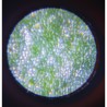 MICROSCOPE NOMADE "HAPPY GARDEN" - JANOD