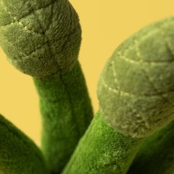 BOTTE D'ASPERGES AMUSEABLES ASPARAGUS - JELLYCAT