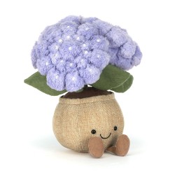 HORTENTIA AMUSEABLES...