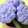 HORTENTIA AMUSEABLES HYDRANGEA - JELLYCAT