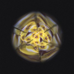 KALEIDOSCOPE DE FLEURS EN BOIS "HAPPY GARDEN" - JANOD