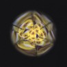KALEIDOSCOPE DE FLEURS EN BOIS "HAPPY GARDEN" - JANOD