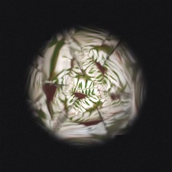 KALEIDOSCOPE DE FLEURS EN BOIS "HAPPY GARDEN" - JANOD