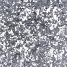 GRANDES PAILLETTES ARGENTEES BIODEGRADABLES - NAILMATIC