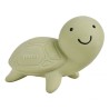 MON PREMIER ANIMAL MARIN/TORTU