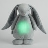 MOONIE LAPIN MAGIQUE GRIS