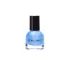VERNIS A ONGLES GIVRE - ROSAJOU