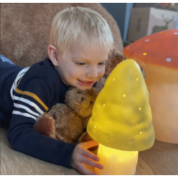 LAMPE CHAMPIGNON VERTE PETIT MODELE - EGMONT TOYS