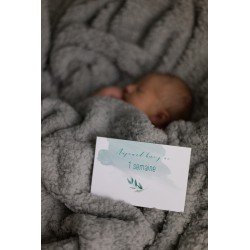 15 CARTES ETAPES BÉBÉ MINT - SPIRITUS NATURAE