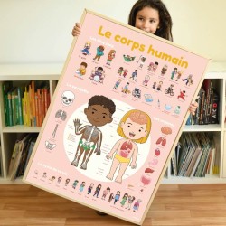 DISCOVERY CORPS HUMAIN - POPPIK