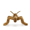 PHASME STANLEY STICK INSECT - JELLYCAT