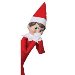 LE LUTIN THE ELF ON THE SHELF + LIVRE - DAM