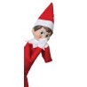 LE LUTIN THE ELF ON THE SHELF + LIVRE - DAM