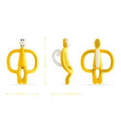 SINGE DE DENTITION JAUNE - MATCHSTICK MONKEY