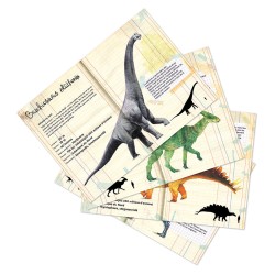 SET DE 21 MAGNETS DINOSAURES-MUSEUM D'HISTOIRE NATURELLE - VILAC