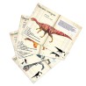 SET DE 21 MAGNETS DINOSAURES-MUSEUM D'HISTOIRE NATURELLE - VILAC