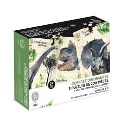 COFFRET DE 3 PUZZLES DINOSAURES 200 PIECES+POSTERS-MUSEUM D'HISTOIRE NATURELLE - VILAC