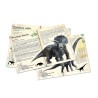 COFFRET DE 3 PUZZLES DINOSAURES 200 PIECES+POSTERS-MUSEUM D'HISTOIRE NATURELLE - VILAC