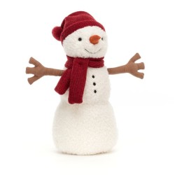 BONHOMME DE NEIGE TEDDY...