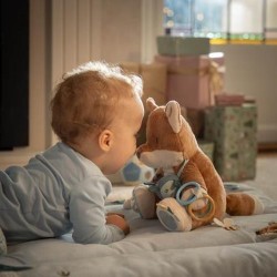 PELUCHE ACTIVITÉS RENARD FORES